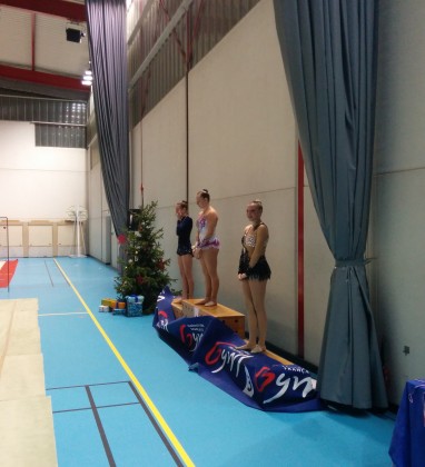 GRS Brumath 2014 – (8)